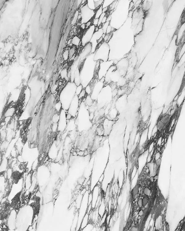 Arabescato Corchia marble surface with expressive gray veining and organic pattern